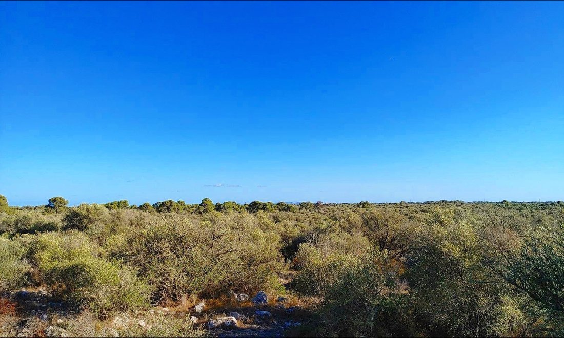 Autres à Llucmajor, Îles Baléares, Espagne 1 - 19013437