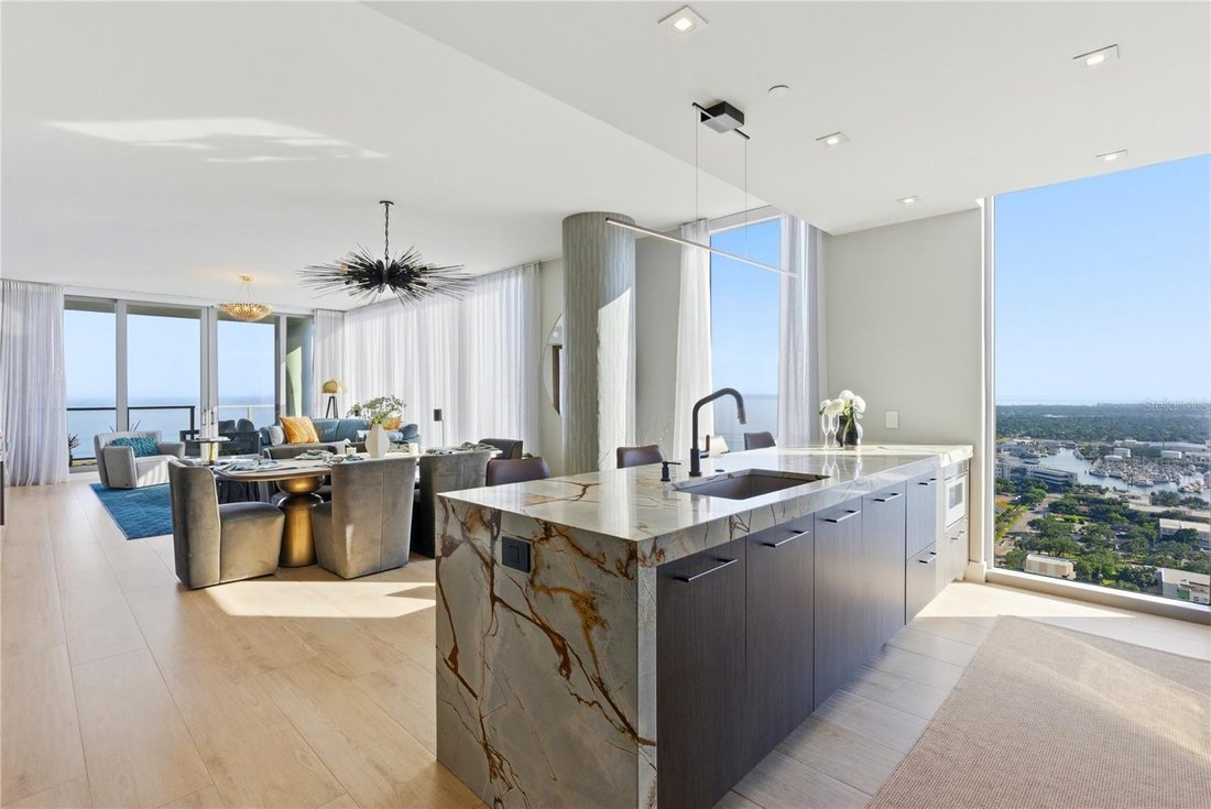 Condo in St. Petersburg, Florida, United States 3 - 19010033