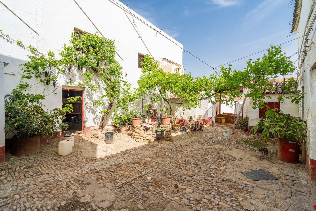 Farm Ranch in Olvera, Andalusia, Spain 4 - 19015128