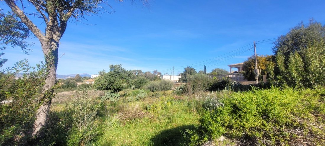 Land in Marratxi, Balearic Islands, Spain 3 - 19013152