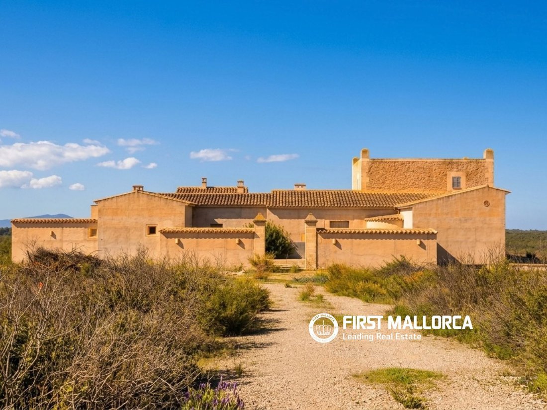 Country House in Petra, Balearic Islands, Spain 1 - 19010638