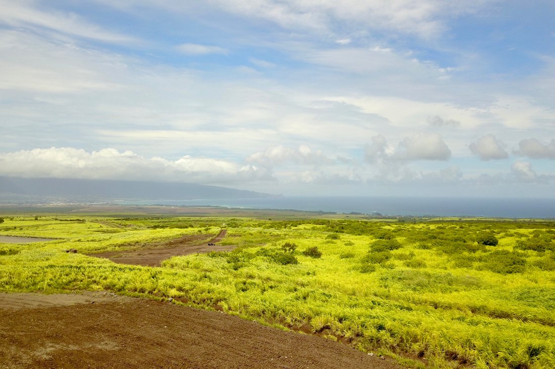 House in Paia, Hawaii, United States 1 - 19011707