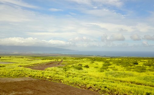 House in Paia, Hawaii, United States 1