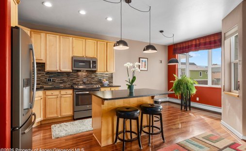 Townhouse in Carbondale, Colorado, United States 1