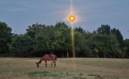 Terreno en Campbell, Texas, Estados Unidos 1