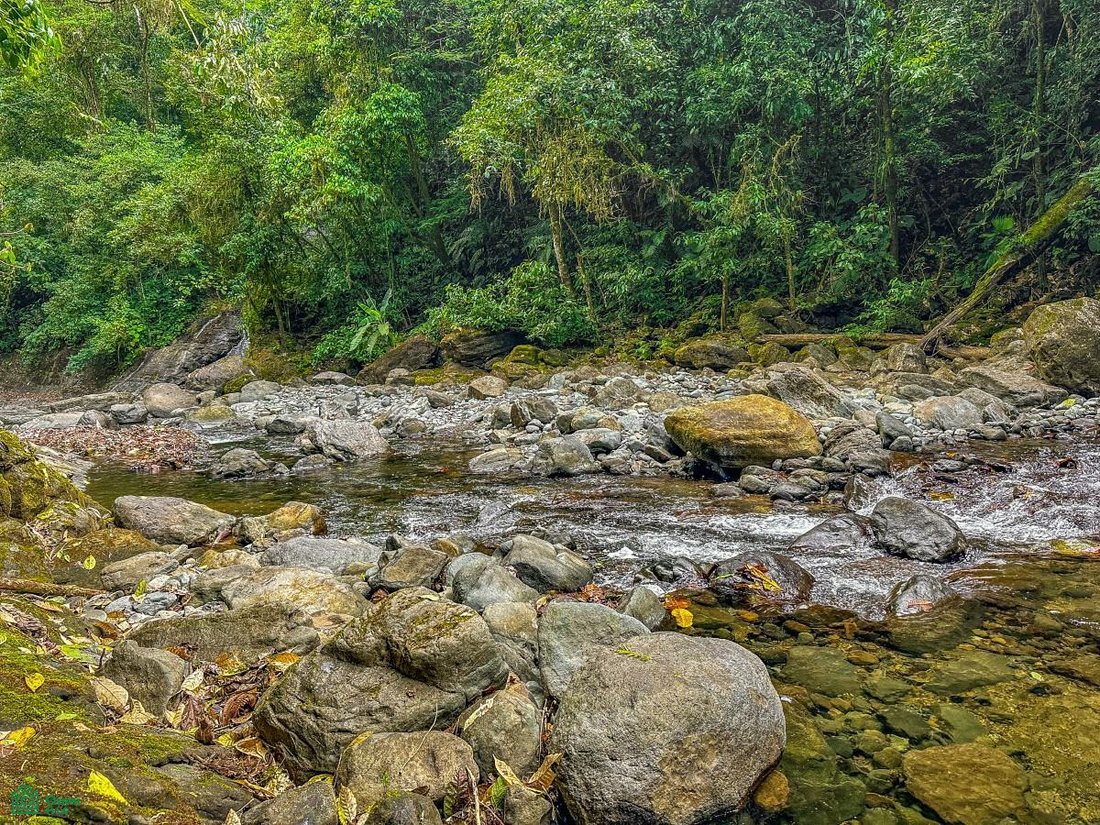 Land in Ojochal, Puntarenas Province, Costa Rica 3 - 19012964