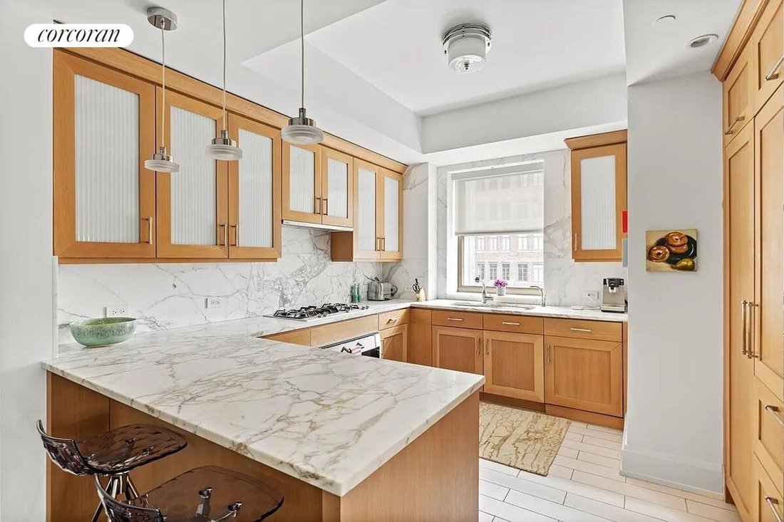 Condo in New York, New York, United States 5 - 19011635