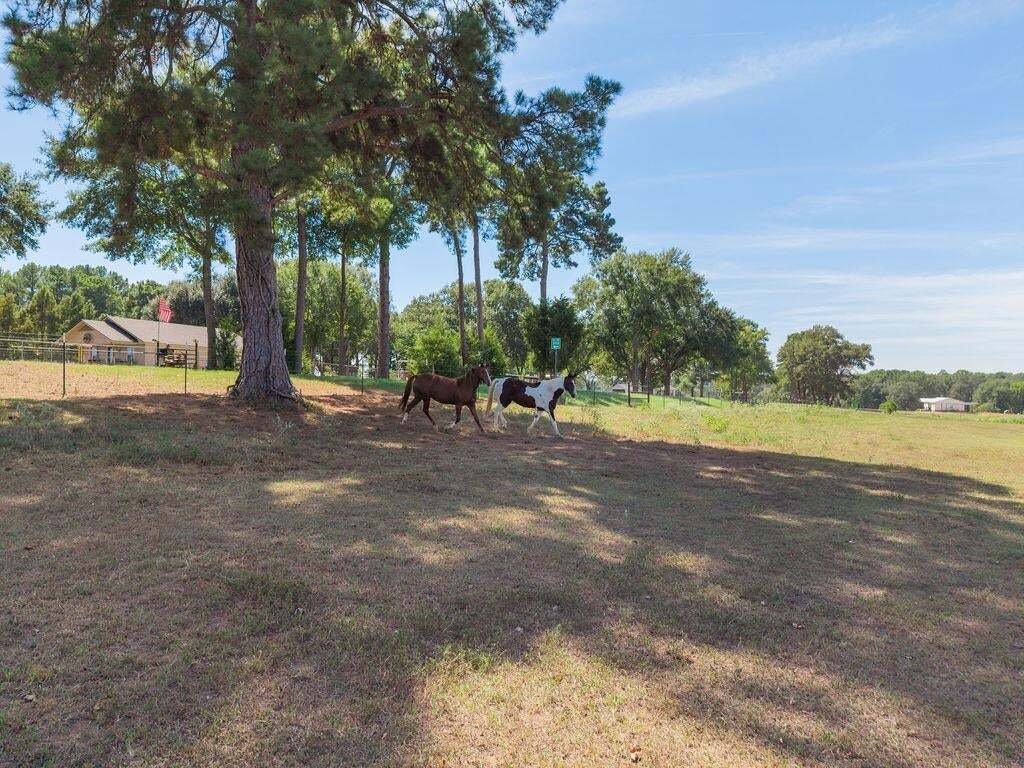 Casa a Troup, Texas, Stati Uniti 4 - 19008825