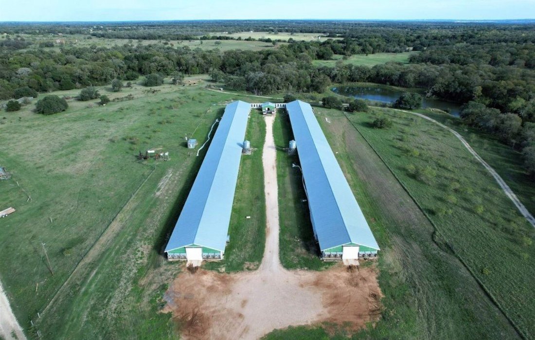 Corps de ferme à Somerville, Texas, États-Unis 4 - 19013981