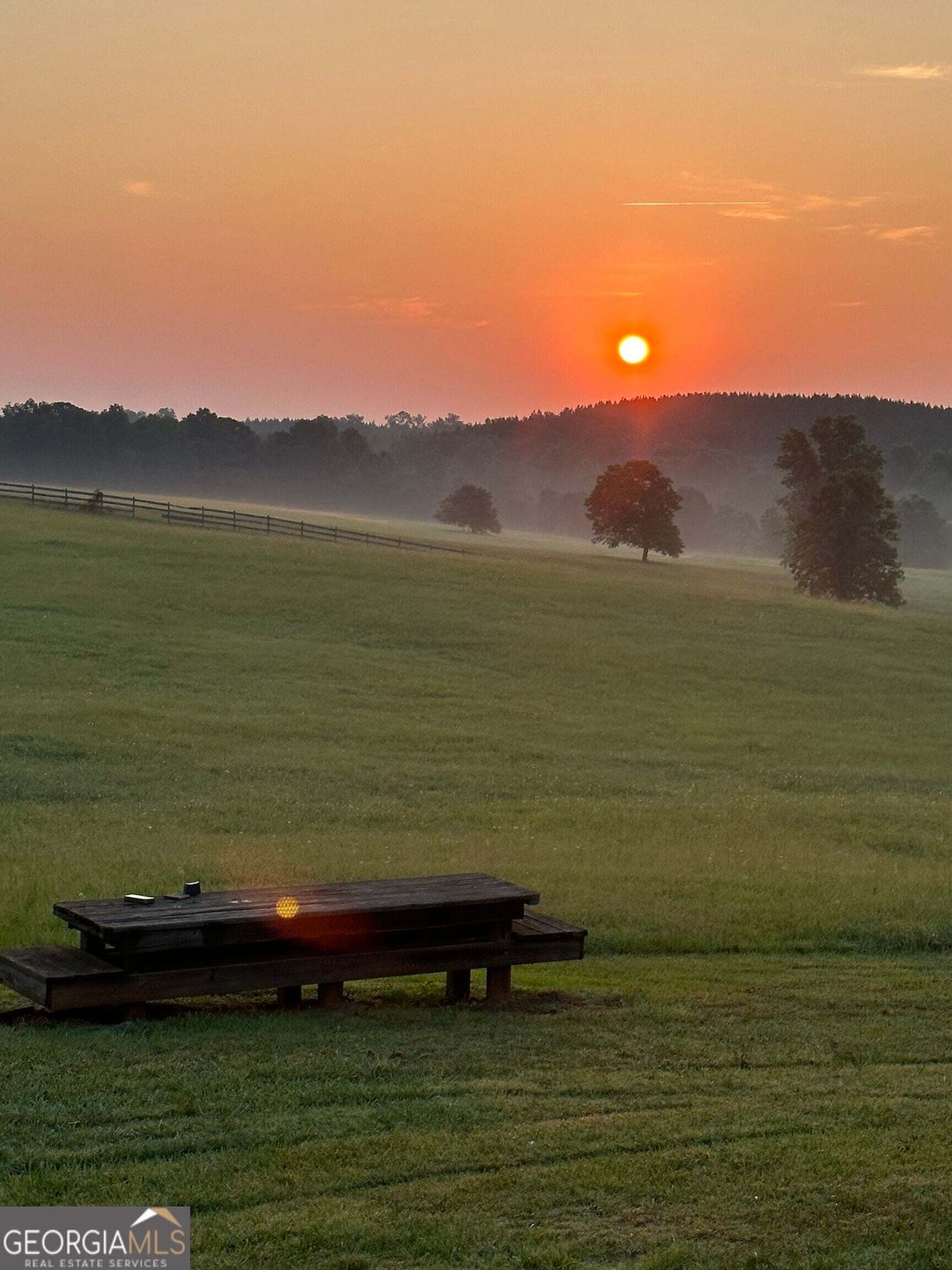 Azienda agricola a Washington, Georgia, Stati Uniti 5 - 19010298