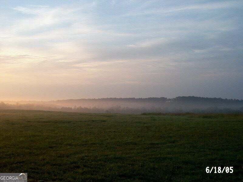 Azienda agricola a Washington, Georgia, Stati Uniti 2 - 19010298
