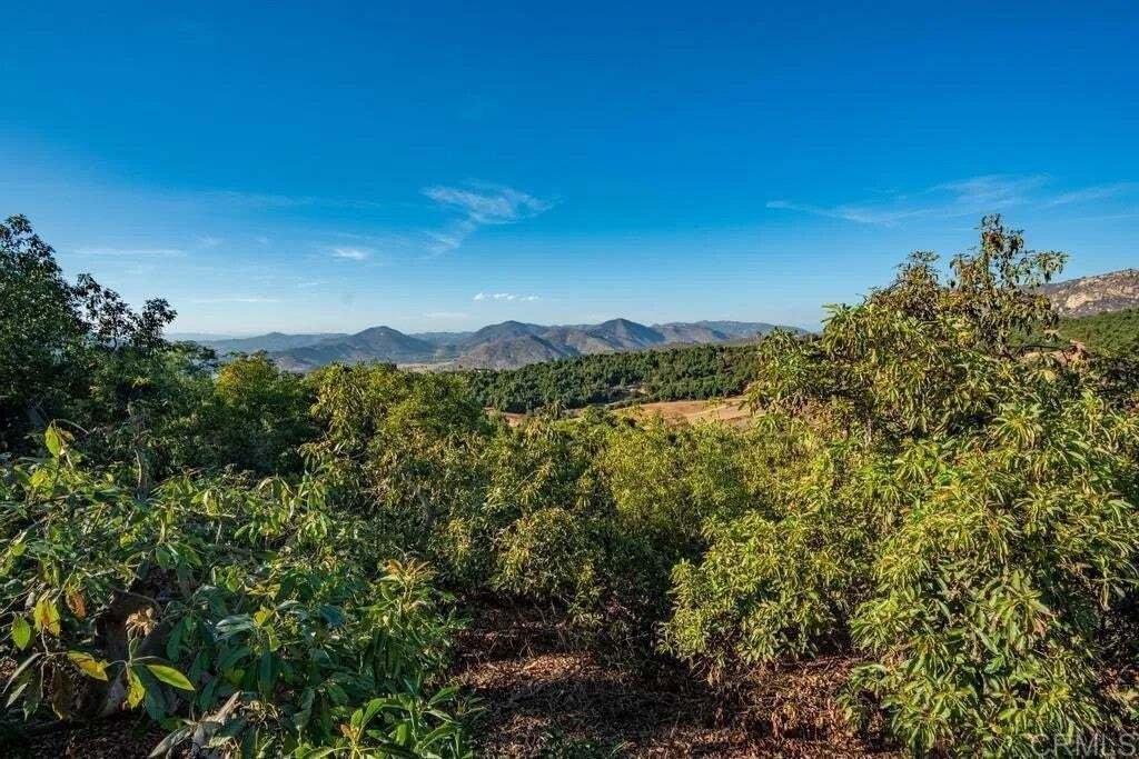 House in Valley Center, California, United States 3 - 19014260