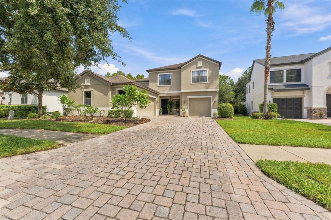 House in Land O' Lakes, Florida, United States 4 - 19009489