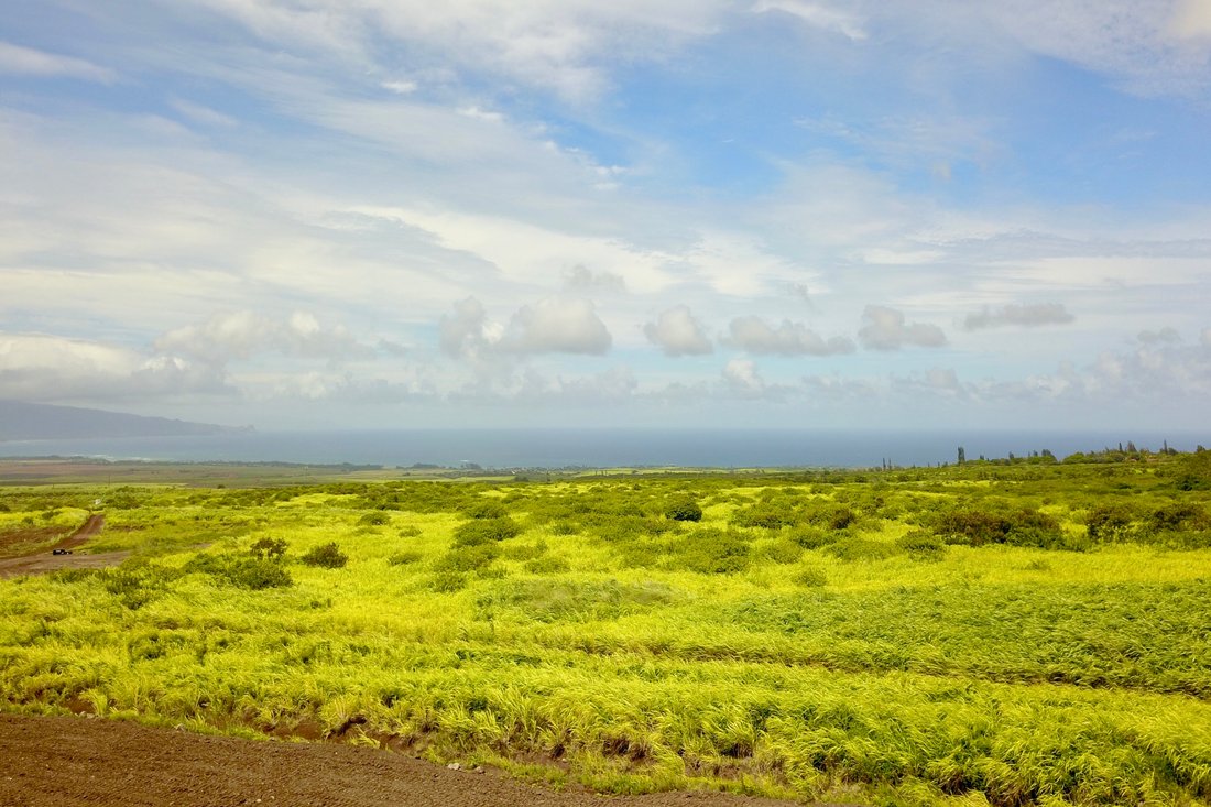 House in Paia, Hawaii, United States 3 - 19011707