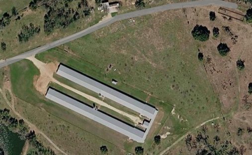 Farm Ranch in Somerville, Texas, United States 1