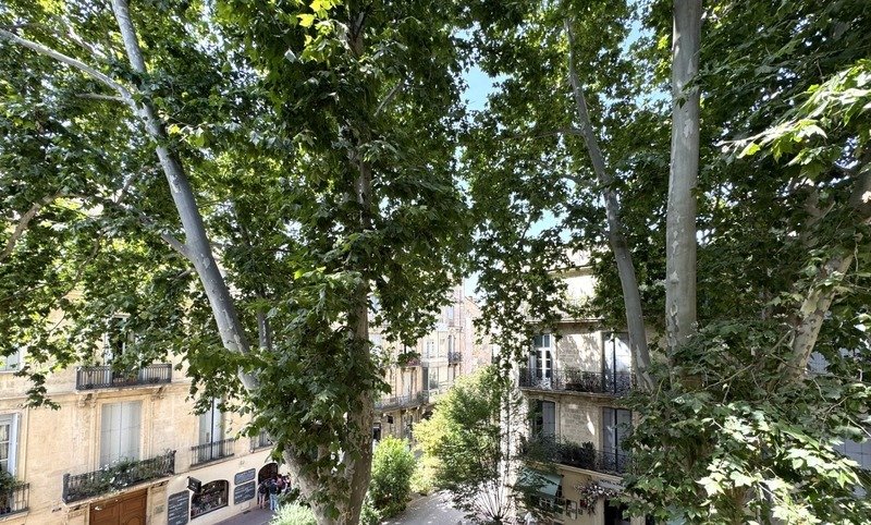 Apartment in Centre Historique, Montpellier, France 1 - 19011088