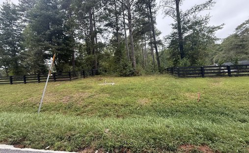 Farm Ranch in Milton, Georgia, Vereinigte Staaten 1