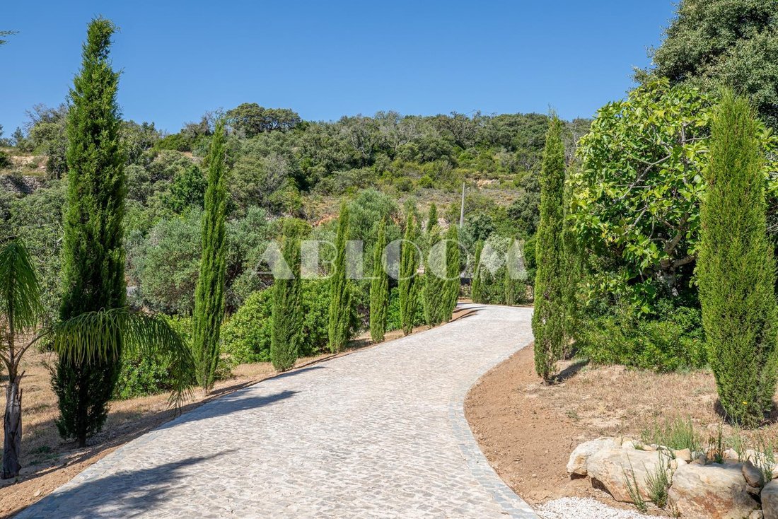 Villa in Loule (Sao Clemente), Algarve, Portugal 4 - 19015291