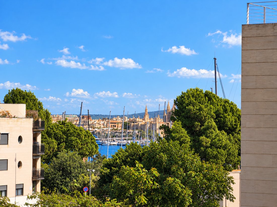 Villa in Palma, Balearic Islands, Spain 3 - 19012958