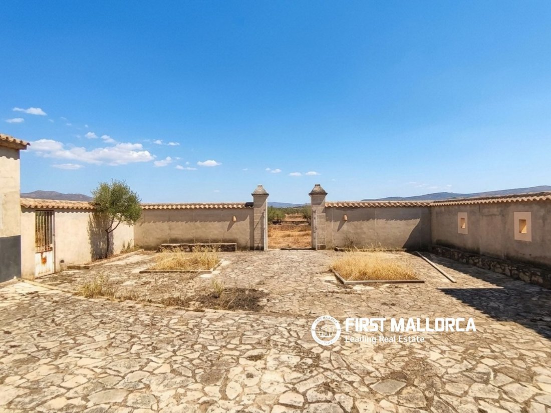 Country House in Petra, Balearic Islands, Spain 4 - 19010638
