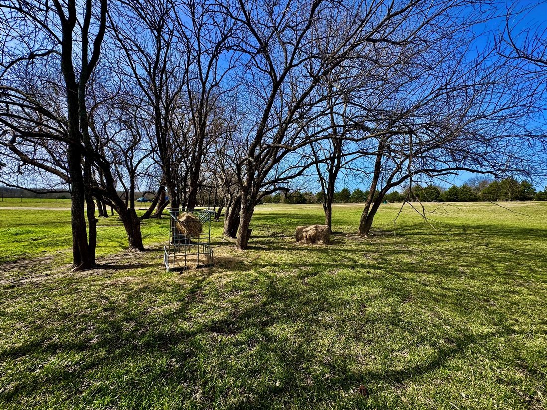 House in Campbell, Texas, United States 3 - 19014004