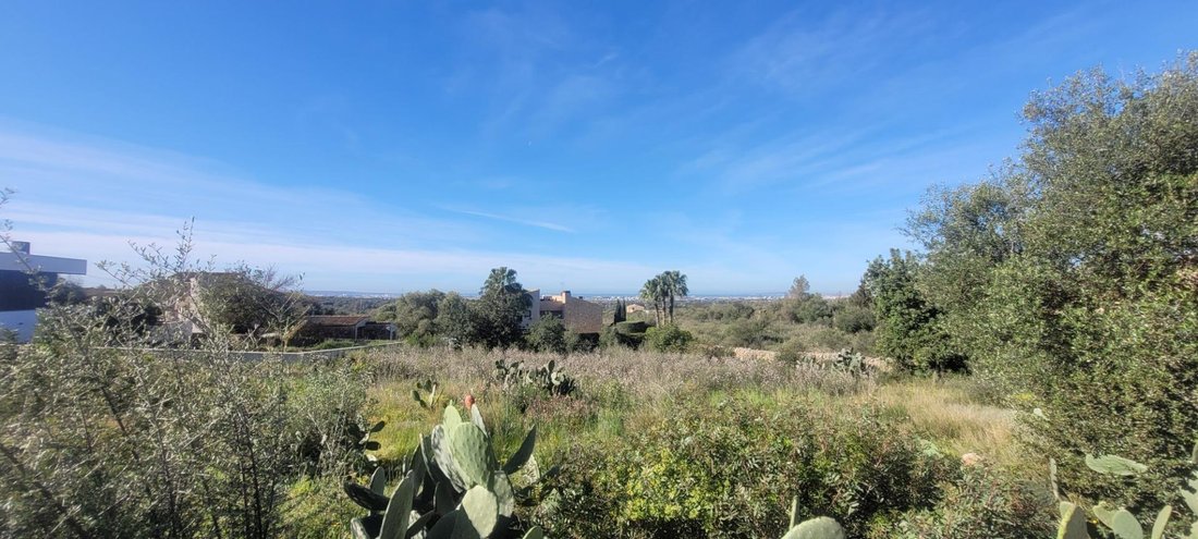 Land in Marratxi, Balearic Islands, Spain 5 - 19013152
