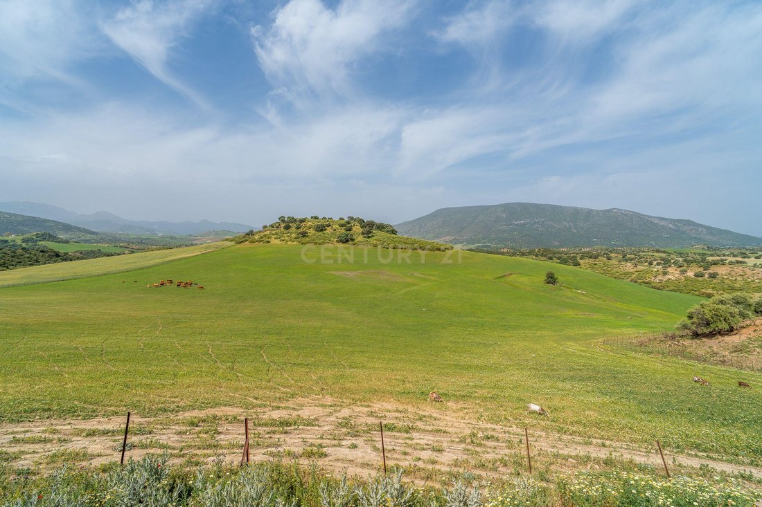 Farm Ranch in Olvera, Andalusia, Spain 3 - 19015128