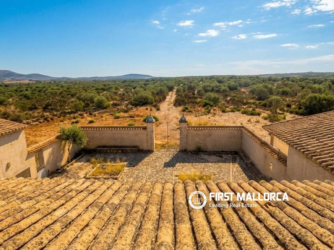 Country House in Petra, Balearic Islands, Spain 2 - 19010638