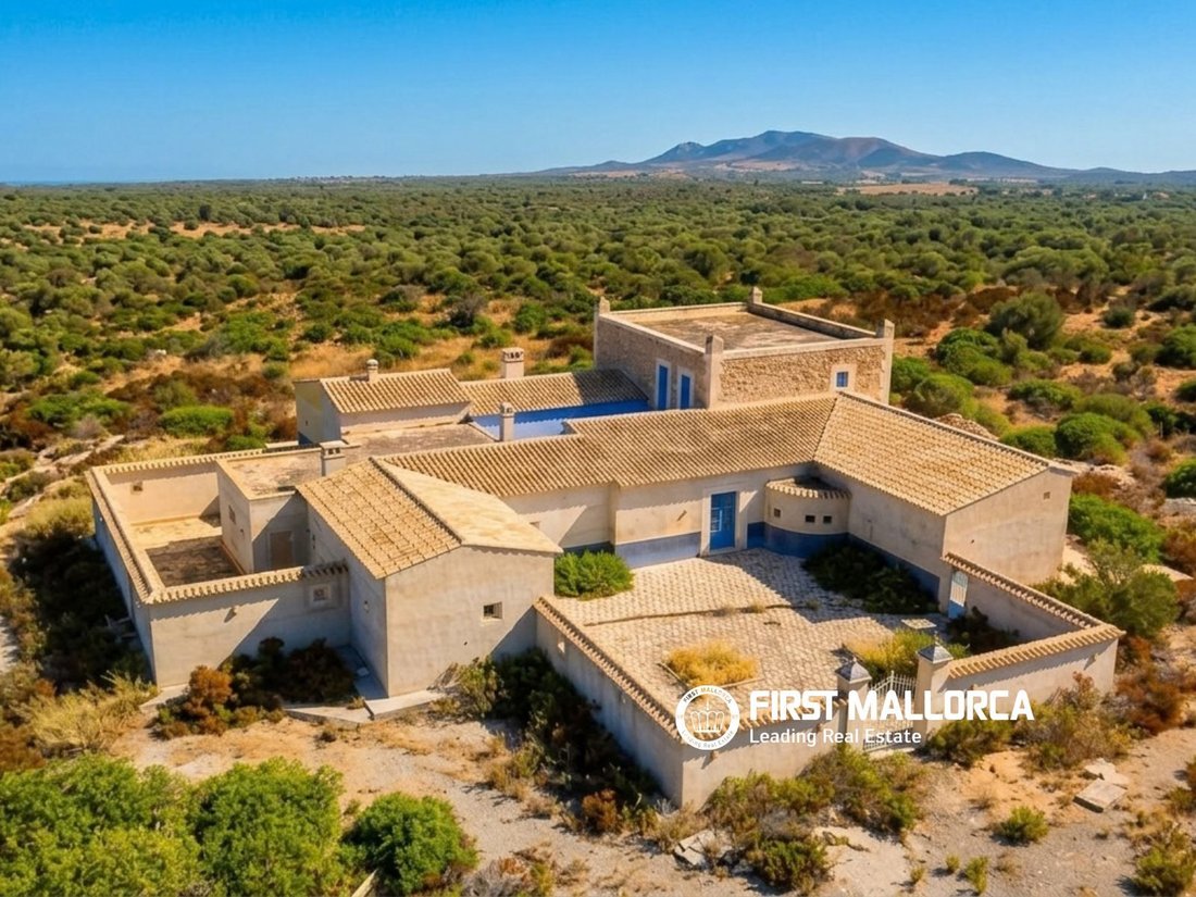 Country House in Petra, Balearic Islands, Spain 3 - 19010638