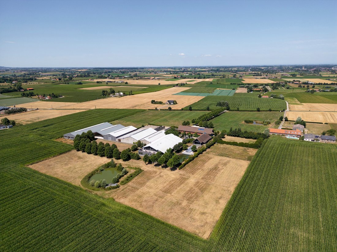Azienda agricola a Poperinge, Fiandre, Belgio 3 - 18621495