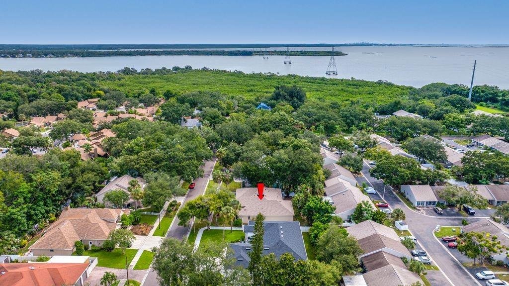 House in Safety Harbor, Florida, United States 4 - 19009483