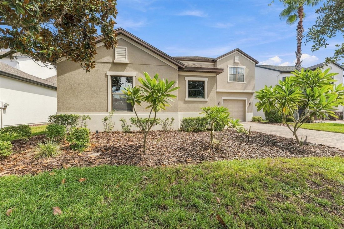 House in Land O' Lakes, Florida, United States 5 - 19009489