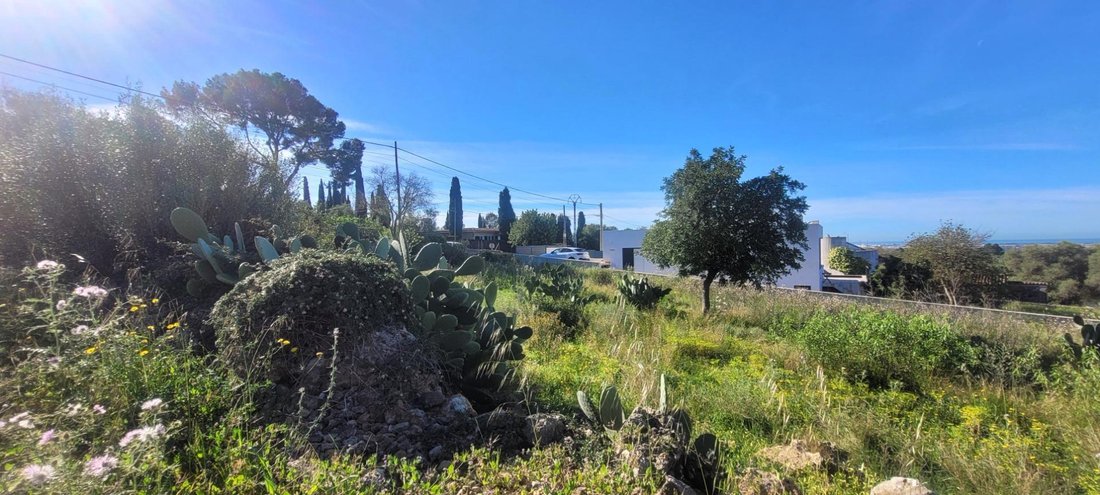 Land in Marratxi, Balearic Islands, Spain 1 - 19013152