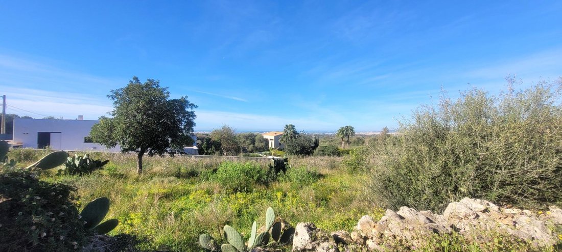 Land in Marratxi, Balearic Islands, Spain 4 - 19013152