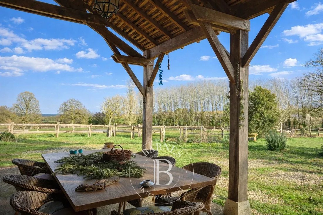Casa en La Roche-Posay, Nueva Aquitania, Francia 4 - 17079596