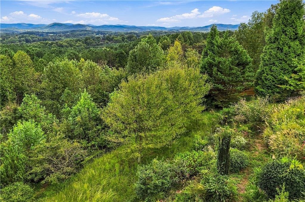House in Ellijay, Georgia, United States 3 - 19013958