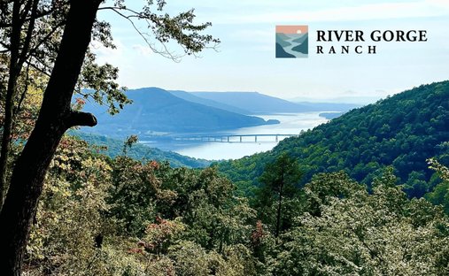 Land in Guild, Tennessee, United States 1