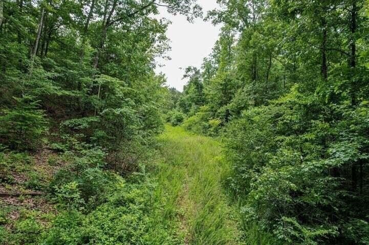 Terreno en Athens, Tennessee, Estados Unidos 2 - 19014197