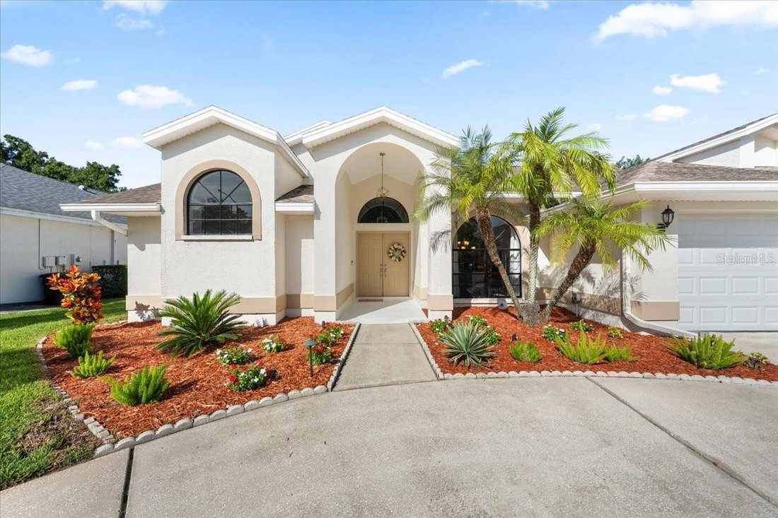 House in Palm Harbor, Florida, United States 3 - 19013990