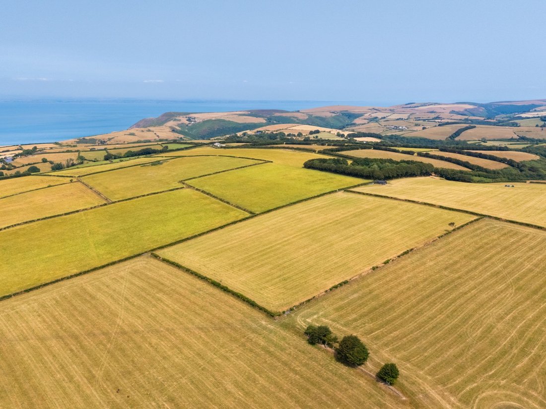 Farm Ranch in Lynton, Lynmouth, England 2 - 19010417