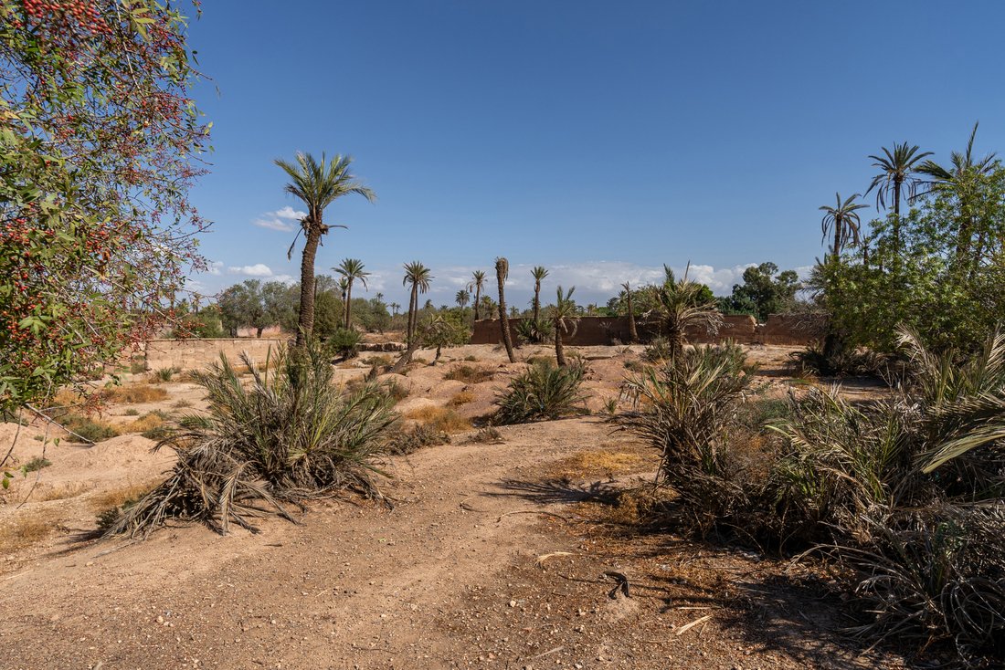 Maison à Médina, Marrakech-Safi, Maroc 5 - 19015544