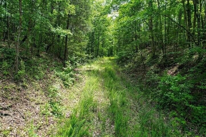 Terreno en Athens, Tennessee, Estados Unidos 4 - 19014197