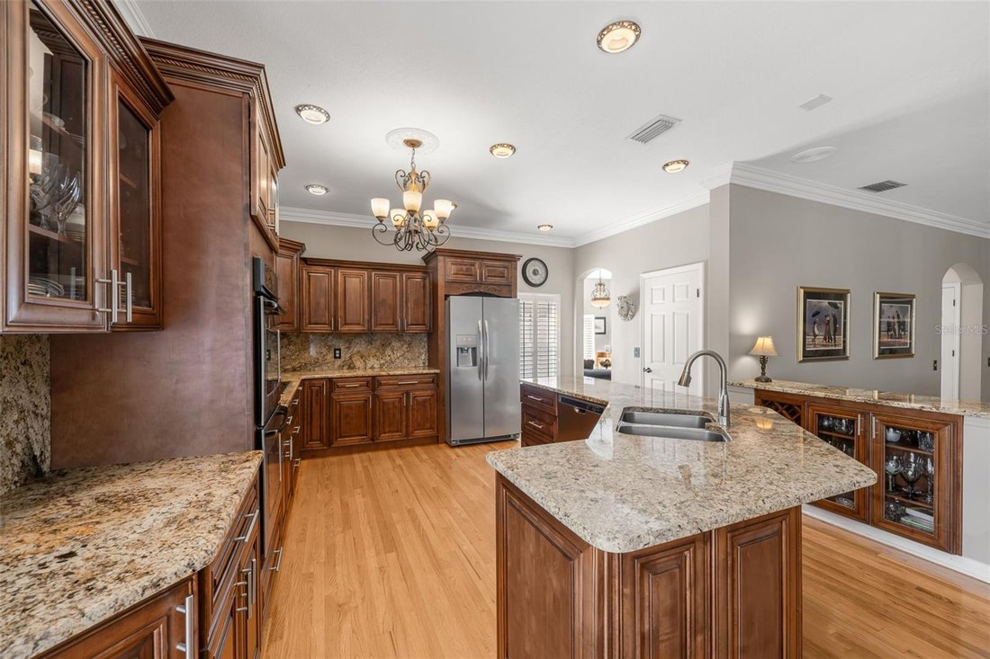 House in Tampa, Florida, United States 5 - 19009503