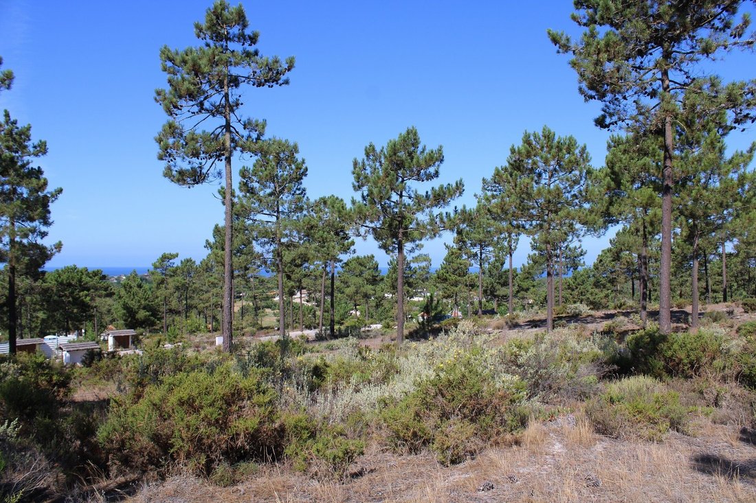 Land in Carvalhal, Setubal, Portugal 4 - 19015538
