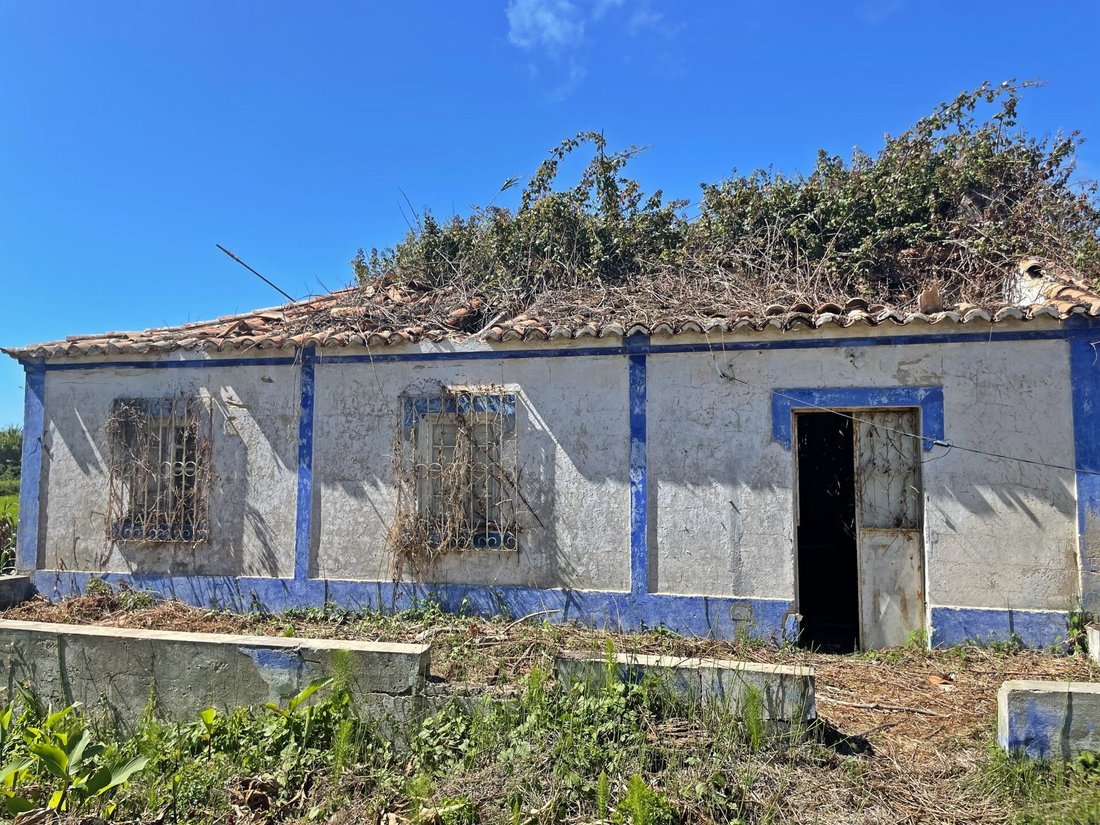 Land in Melides, Setubal, Portugal 5 - 19015528