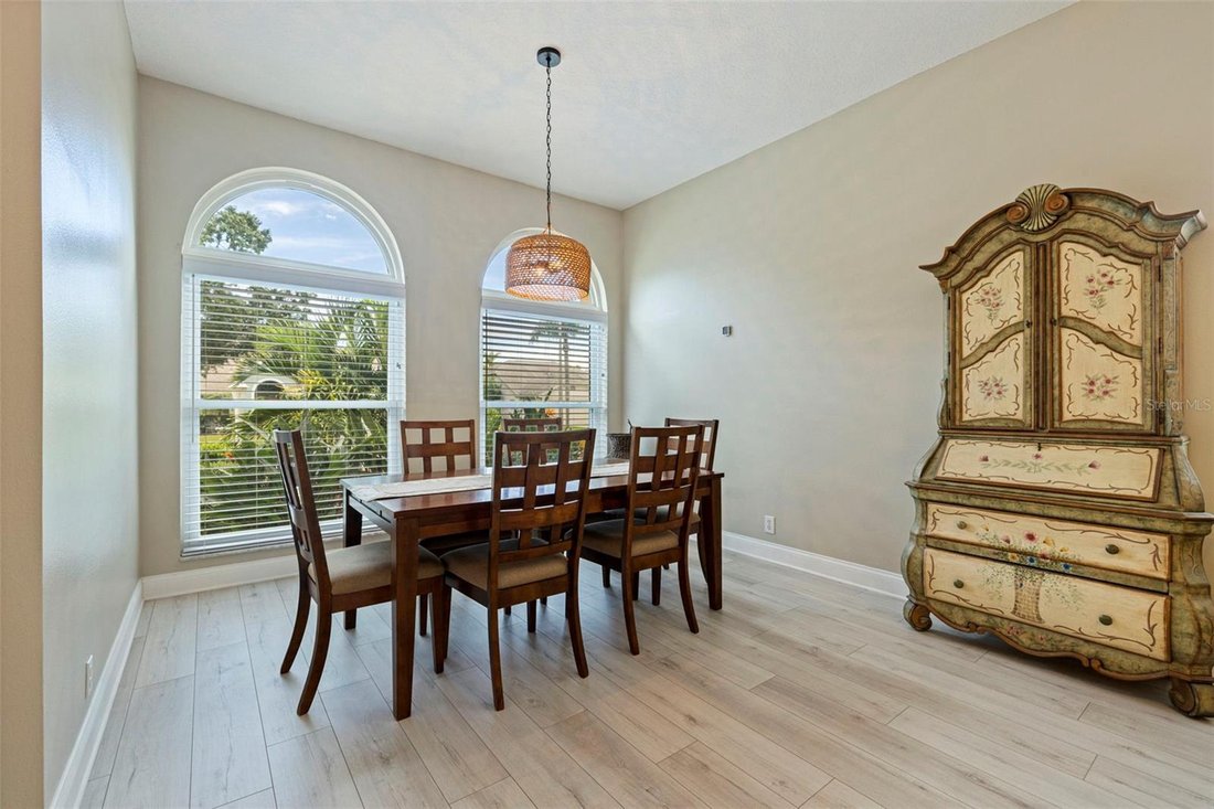 House in Palm Harbor, Florida, United States 5 - 19013947