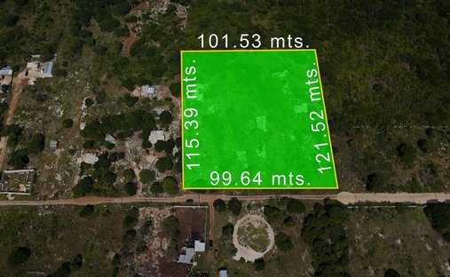 Land in Mérida, Yucatan, Mexico 1