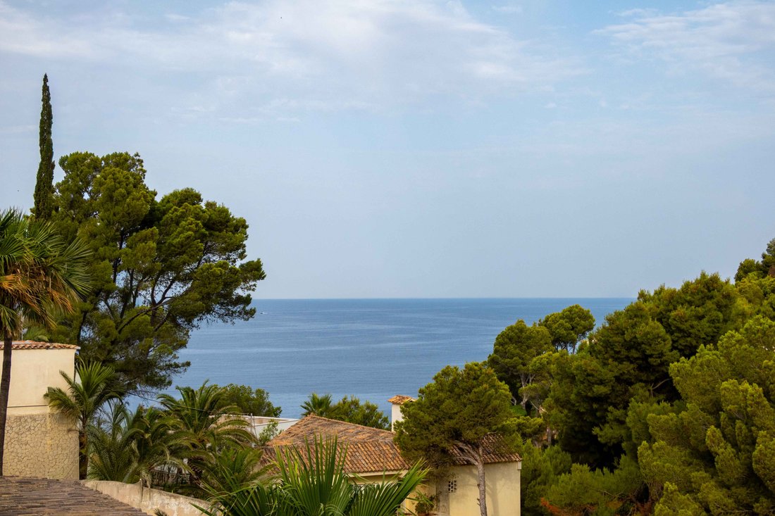 Villa in Costa de la Calma, Calvia, Balearic Islands 4 - 19009316