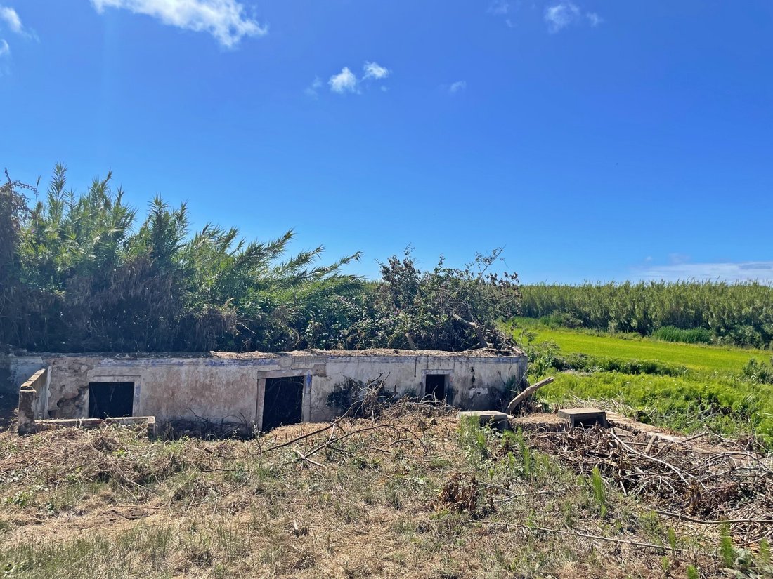 Land in Melides, Setubal, Portugal 4 - 19015528