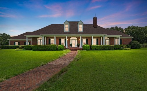 Farm Ranch in Paris, Texas, United States 1